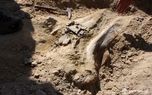 کشف  جسد زن دفن شده  در شمس آباد تهران هنگام خاکبرداری ! / پلیس جنایی وارد عمل شد